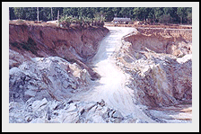 Anhydrite Gypsum 